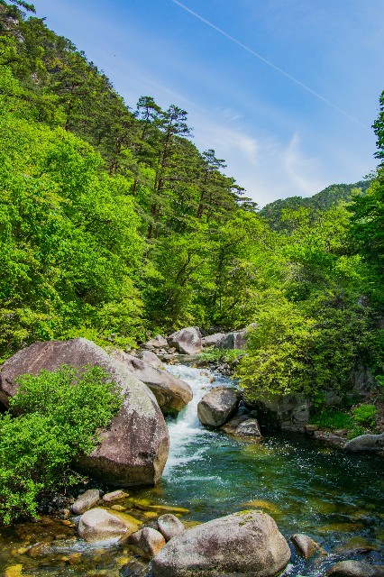 f:id:donPsato:20190505192935j:image f:id:donPsato:20190505192935j:image
