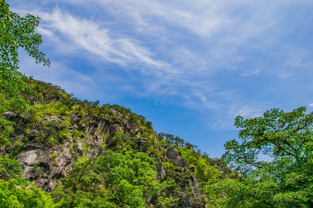 f:id:donPsato:20190505192955j:image f:id:donPsato:20190505192955j:image