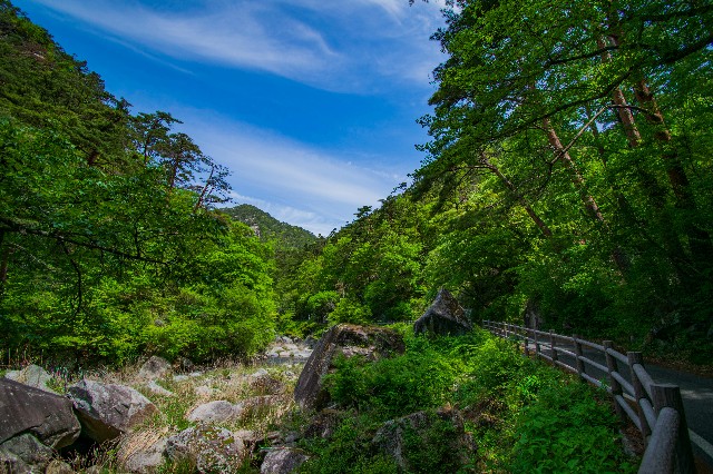 f:id:donPsato:20190505193017j:image f:id:donPsato:20190505193017j:image