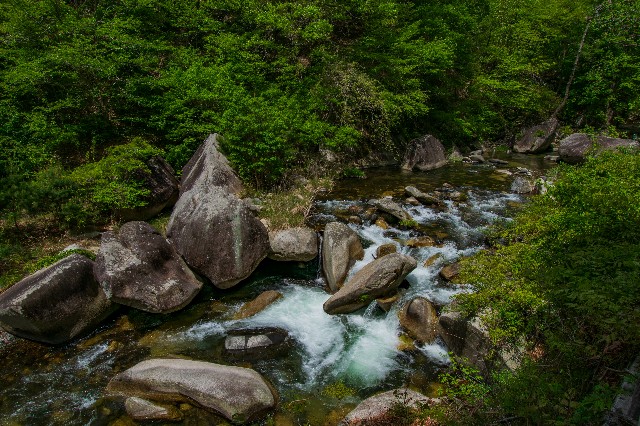 f:id:donPsato:20190505193030j:image f:id:donPsato:20190505193030j:image