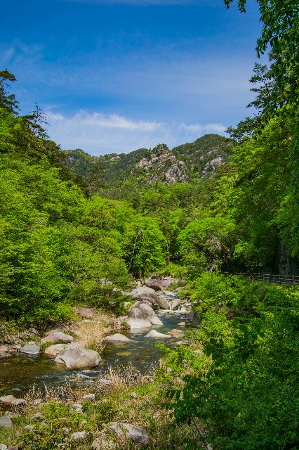f:id:donPsato:20190505193044j:image f:id:donPsato:20190505193044j:image