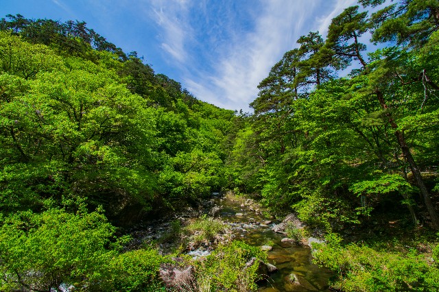 f:id:donPsato:20190505193104j:image f:id:donPsato:20190505193104j:image