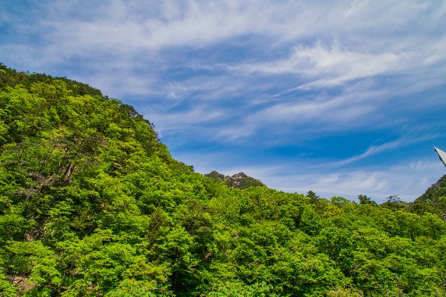 f:id:donPsato:20190505193118j:image f:id:donPsato:20190505193118j:image