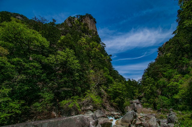f:id:donPsato:20190505193152j:image f:id:donPsato:20190505193152j:image