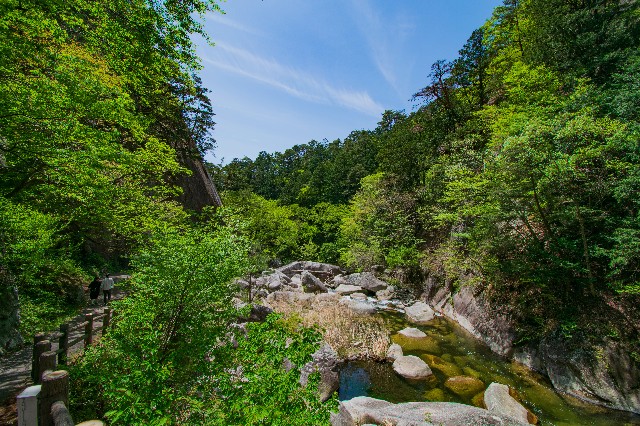 f:id:donPsato:20190505193216j:image f:id:donPsato:20190505193216j:image