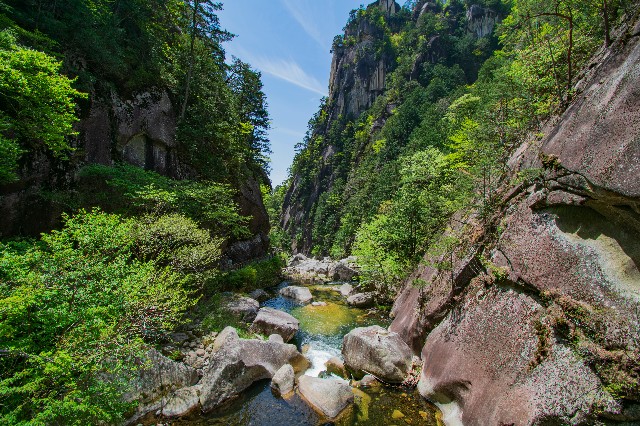 f:id:donPsato:20190505193245j:image f:id:donPsato:20190505193245j:image