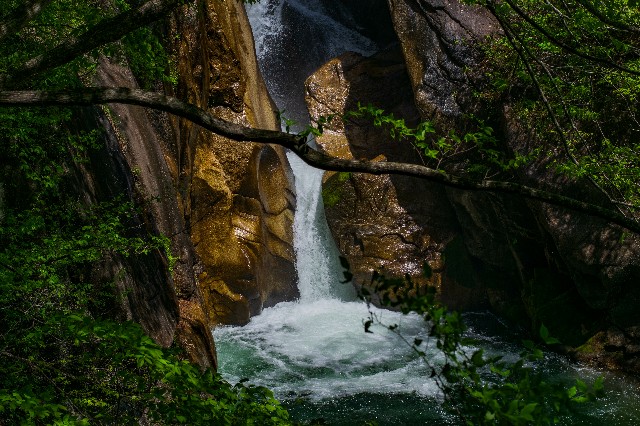 f:id:donPsato:20190505193323j:image f:id:donPsato:20190505193323j:image