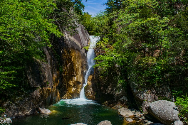 f:id:donPsato:20190505193357j:image f:id:donPsato:20190505193357j:image