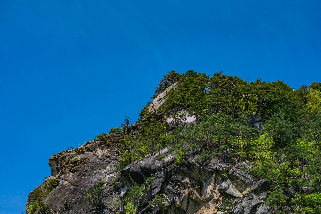 f:id:donPsato:20190505193441j:image f:id:donPsato:20190505193441j:image