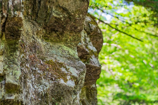 f:id:donPsato:20190505193505j:image f:id:donPsato:20190505193505j:image