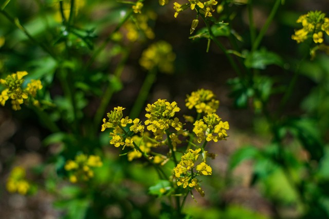 f:id:donPsato:20190505193618j:image f:id:donPsato:20190505193618j:image