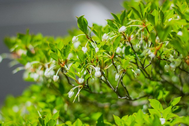 f:id:donPsato:20190505193628j:image f:id:donPsato:20190505193628j:image