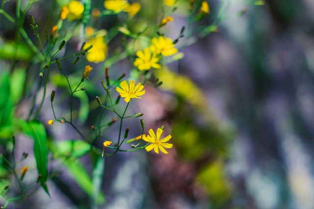 f:id:donPsato:20190505193717j:image f:id:donPsato:20190505193717j:image