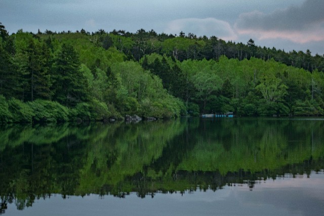 f:id:donPsato:20190629182917j:image f:id:donPsato:20190629182917j:image