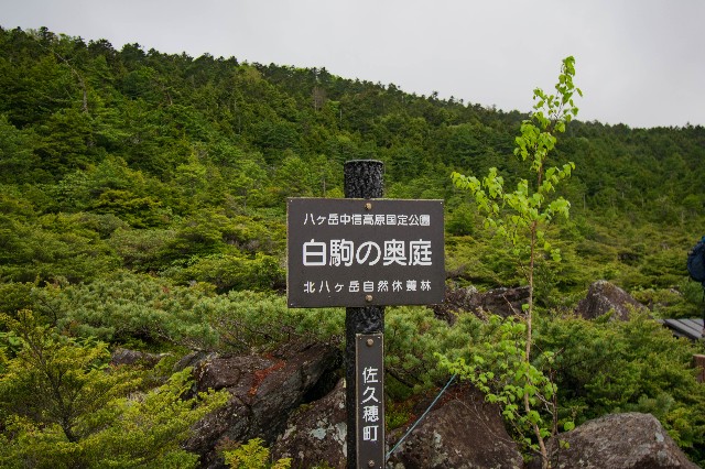 f:id:donPsato:20190629183148j:image f:id:donPsato:20190629183148j:image