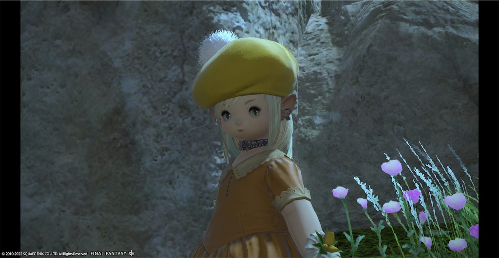 f:id:dona-san:20220927153033p:image