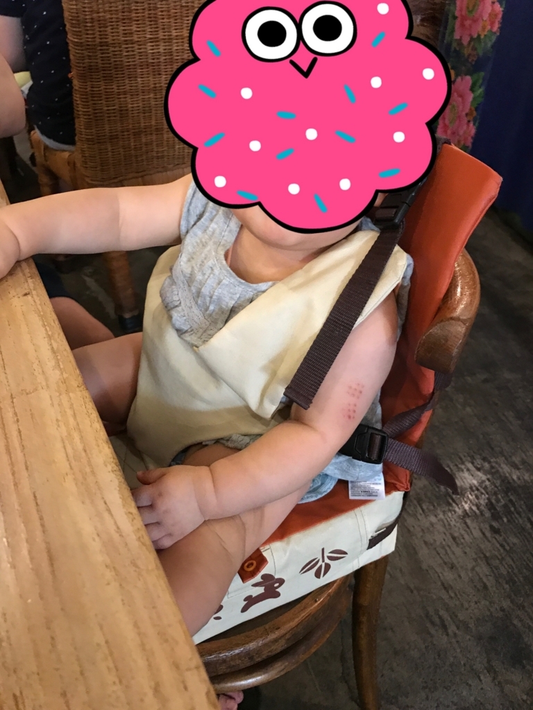 底上げクッションとハーネスつき