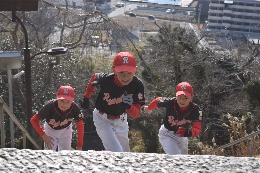 f:id:donagaojisan:20190113183541j:image f:id:donagaojisan:20190113183541j:image