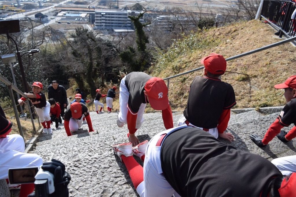 f:id:donagaojisan:20190113184021j:image f:id:donagaojisan:20190113184021j:image
