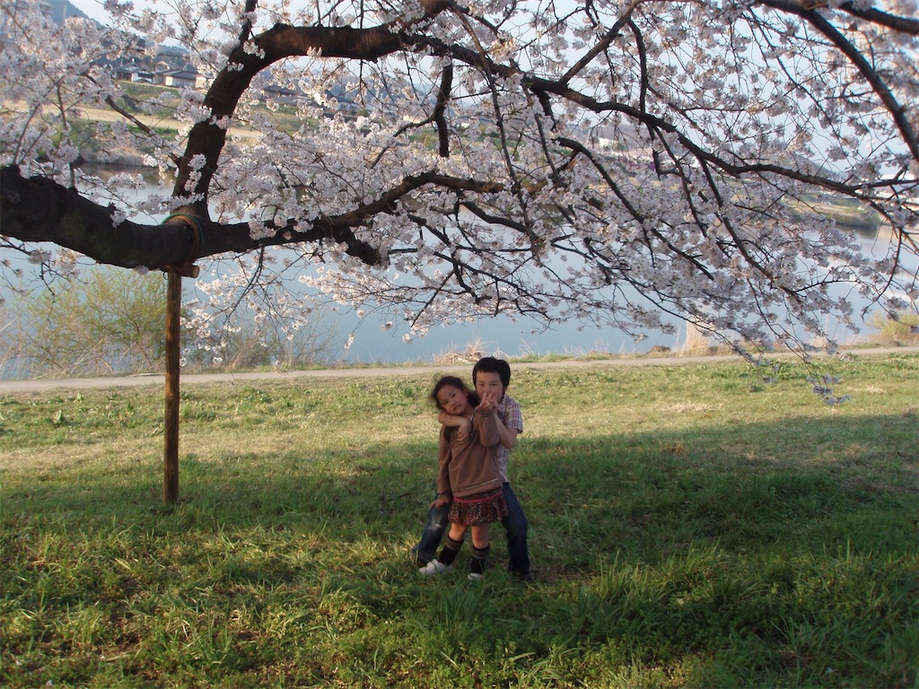 f:id:donagaojisan:20190220023541j:image
