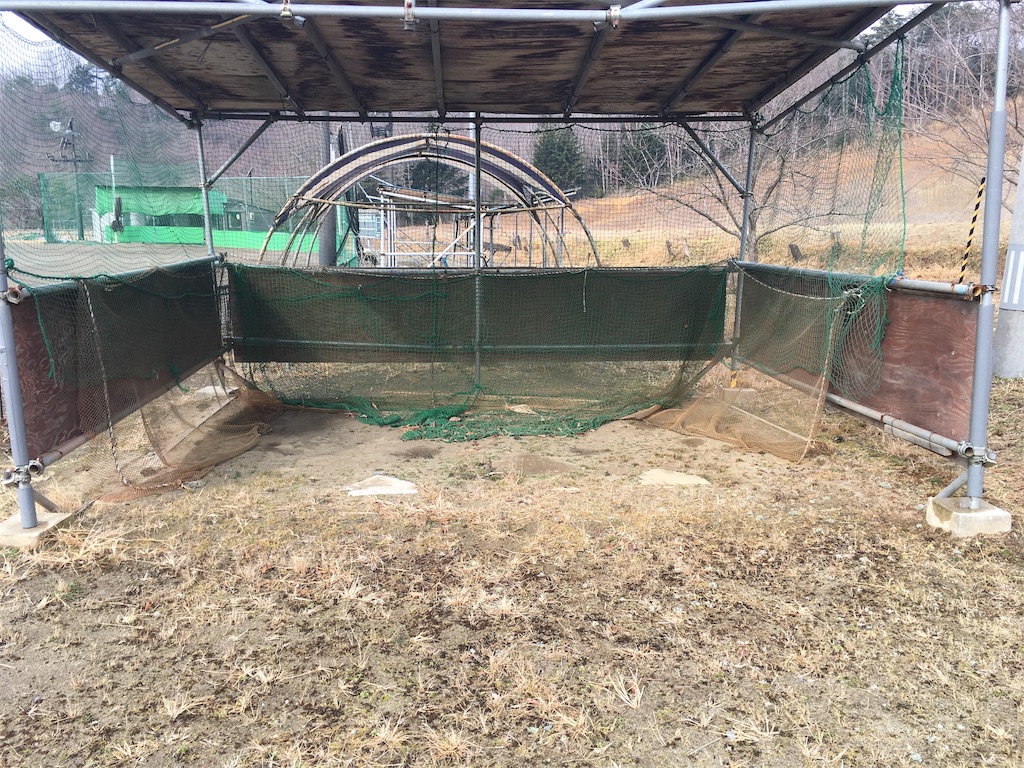 f:id:donagaojisan:20190301213153j:image
