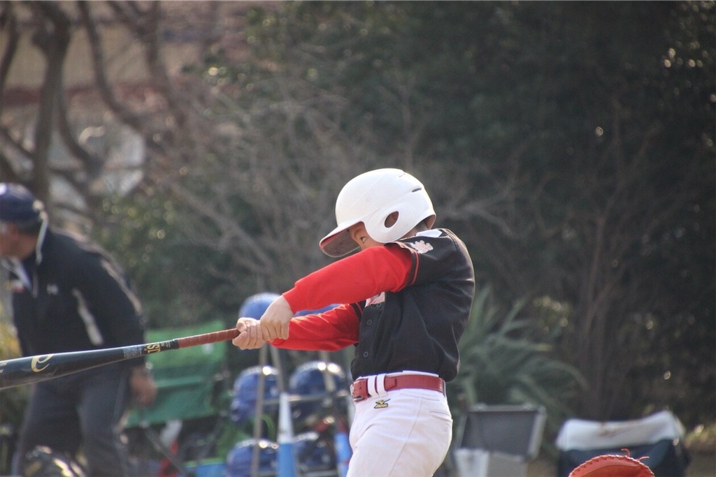 f:id:donagaojisan:20190302190344j:image