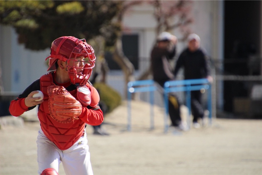 f:id:donagaojisan:20190310140652j:image