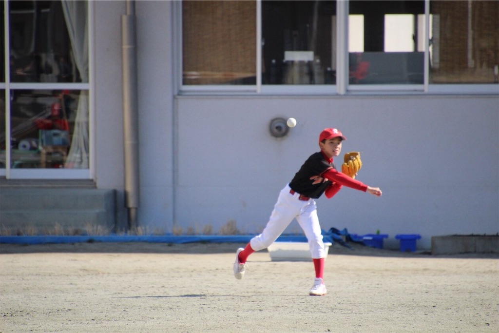 f:id:donagaojisan:20190310140844j:image