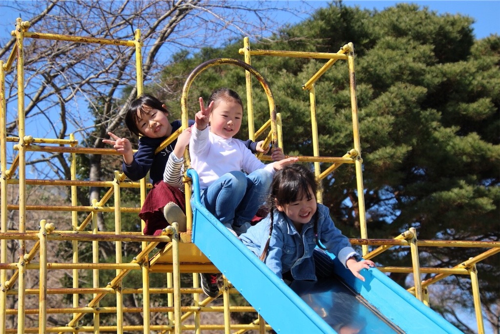 f:id:donagaojisan:20190310141742j:image