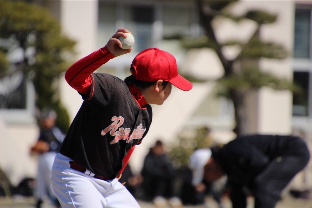 f:id:donagaojisan:20190310150105j:image