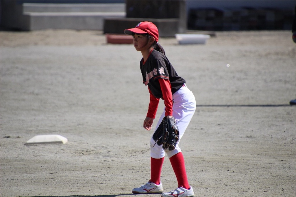 f:id:donagaojisan:20190310150516j:image