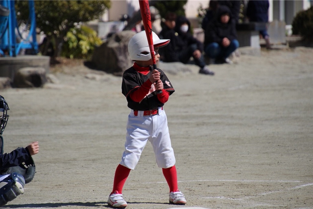 f:id:donagaojisan:20190310150916j:image