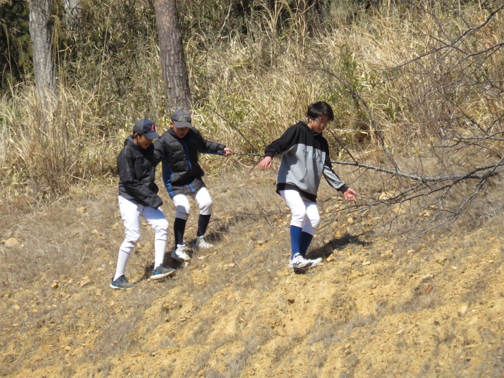 f:id:donagaojisan:20190312093539j:image