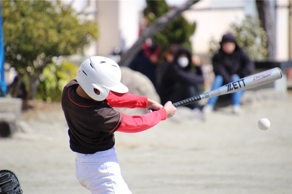 f:id:donagaojisan:20190315120345j:image f:id:donagaojisan:20190315120345j:image