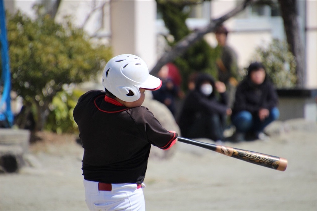f:id:donagaojisan:20190315120832j:image f:id:donagaojisan:20190315120832j:image