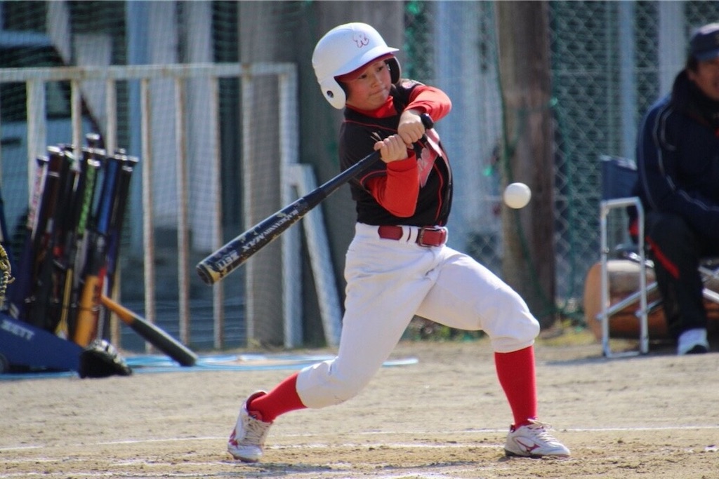 f:id:donagaojisan:20190317202107j:image