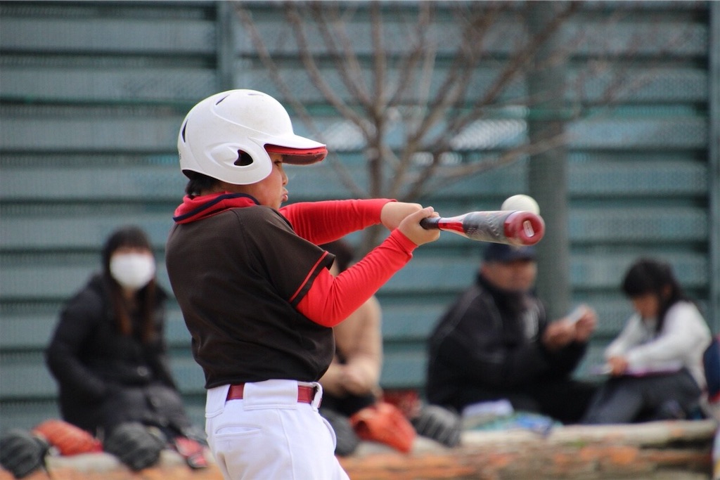 f:id:donagaojisan:20190317202622j:image