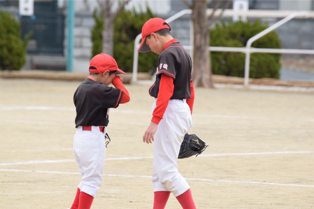 f:id:donagaojisan:20190323233216j:image