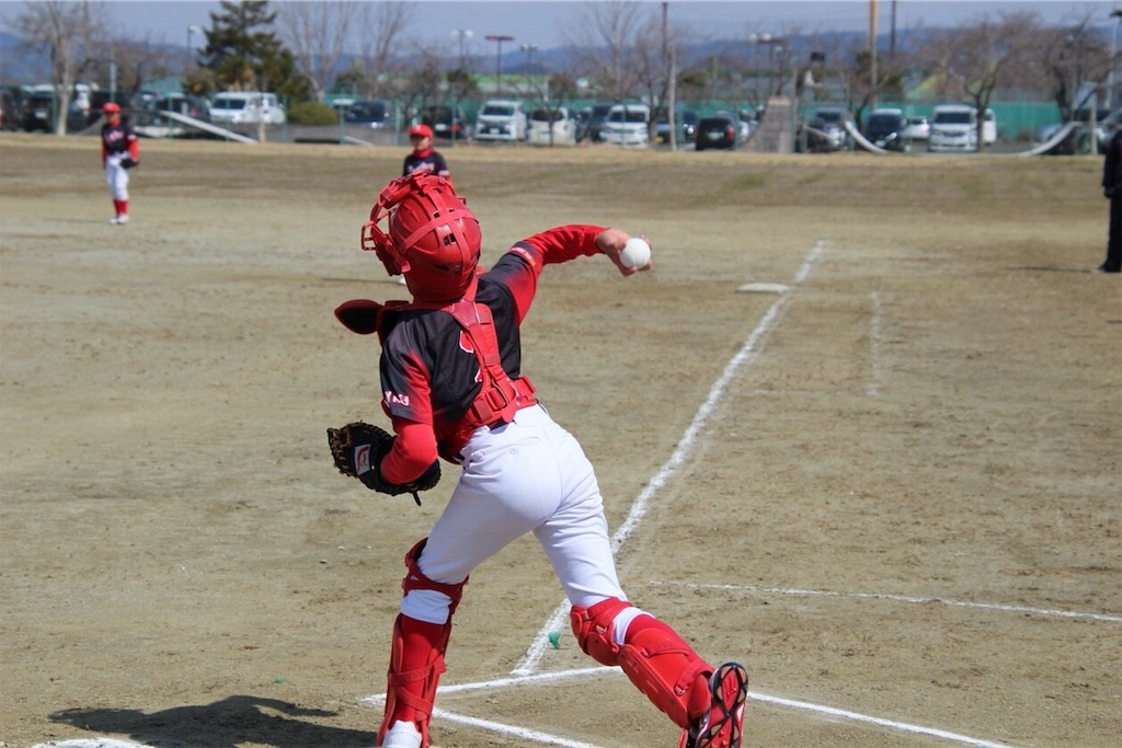 f:id:donagaojisan:20190325185113j:image
