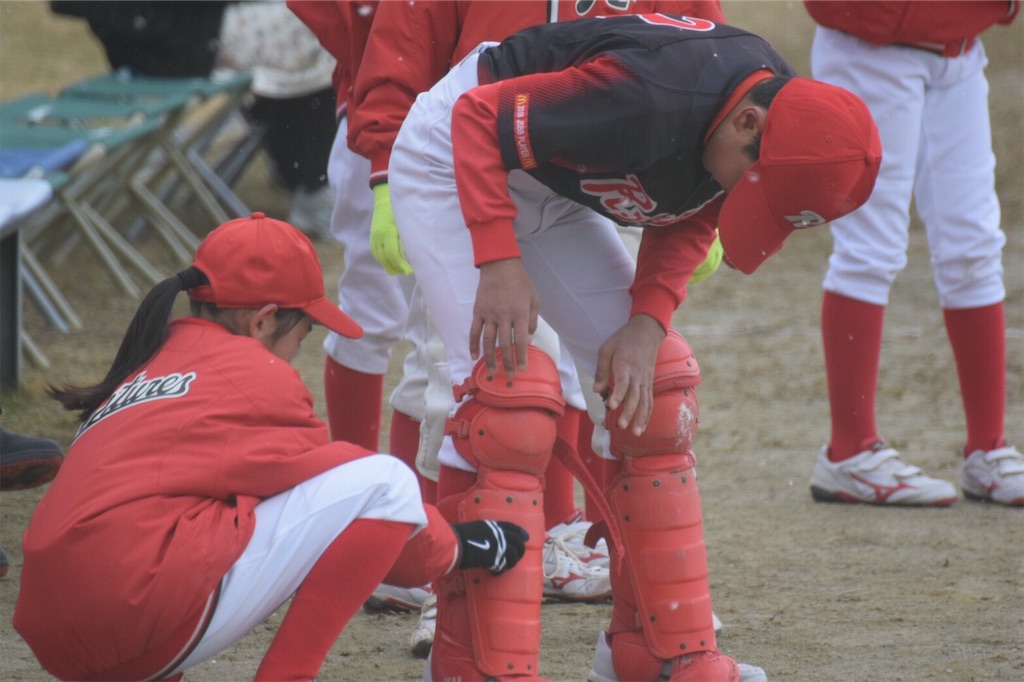 f:id:donagaojisan:20190327191442j:image