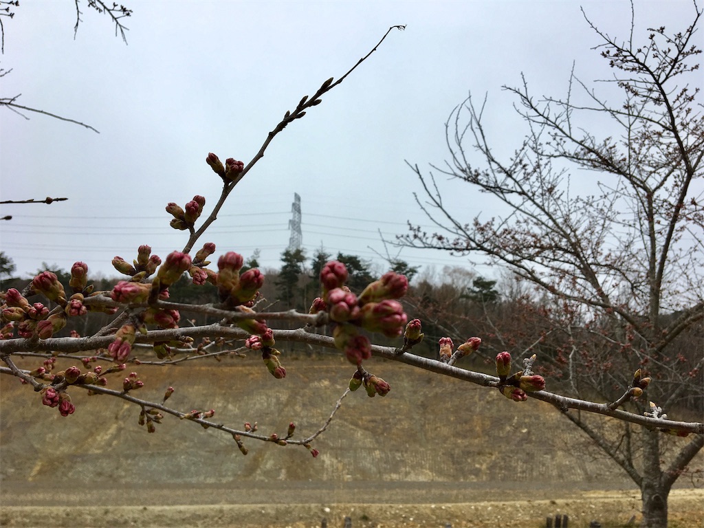 f:id:donagaojisan:20190410195802j:image