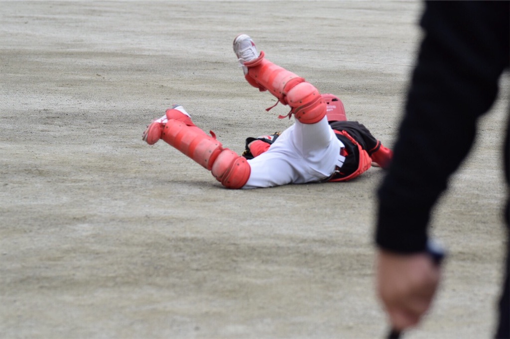 f:id:donagaojisan:20190411232515j:image