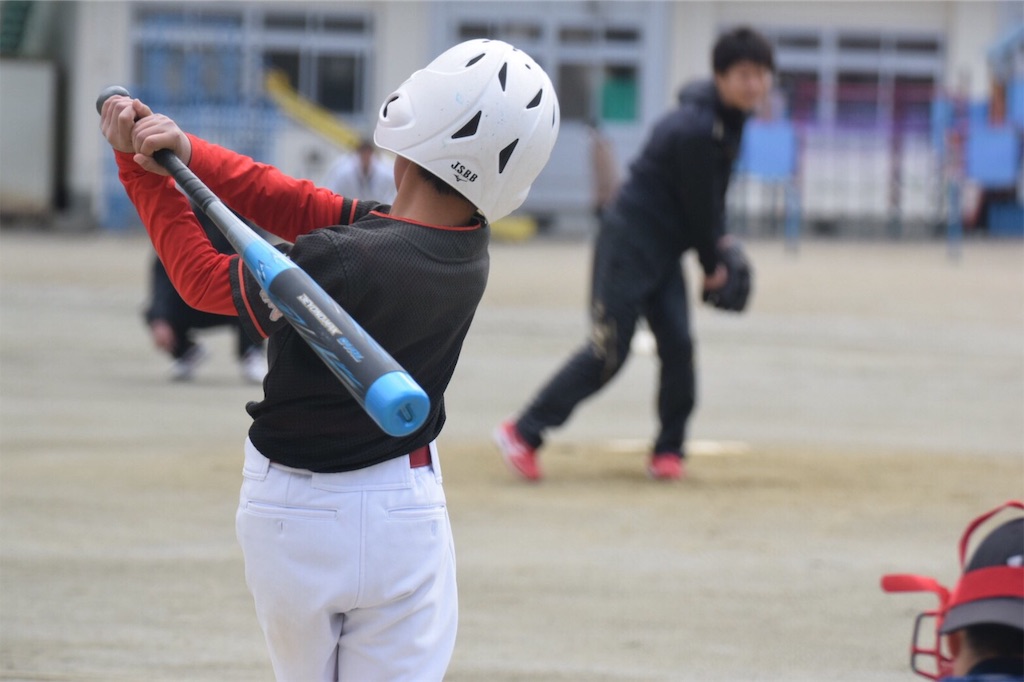 f:id:donagaojisan:20190411232849j:image