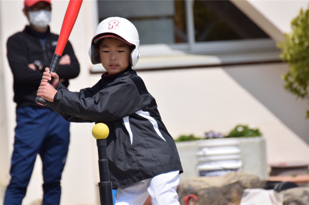 f:id:donagaojisan:20190411233050j:image