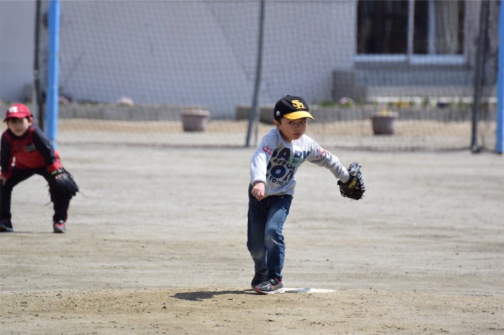 f:id:donagaojisan:20190414205146j:image