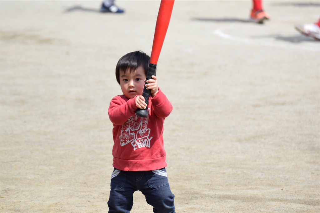 f:id:donagaojisan:20190414205716j:image