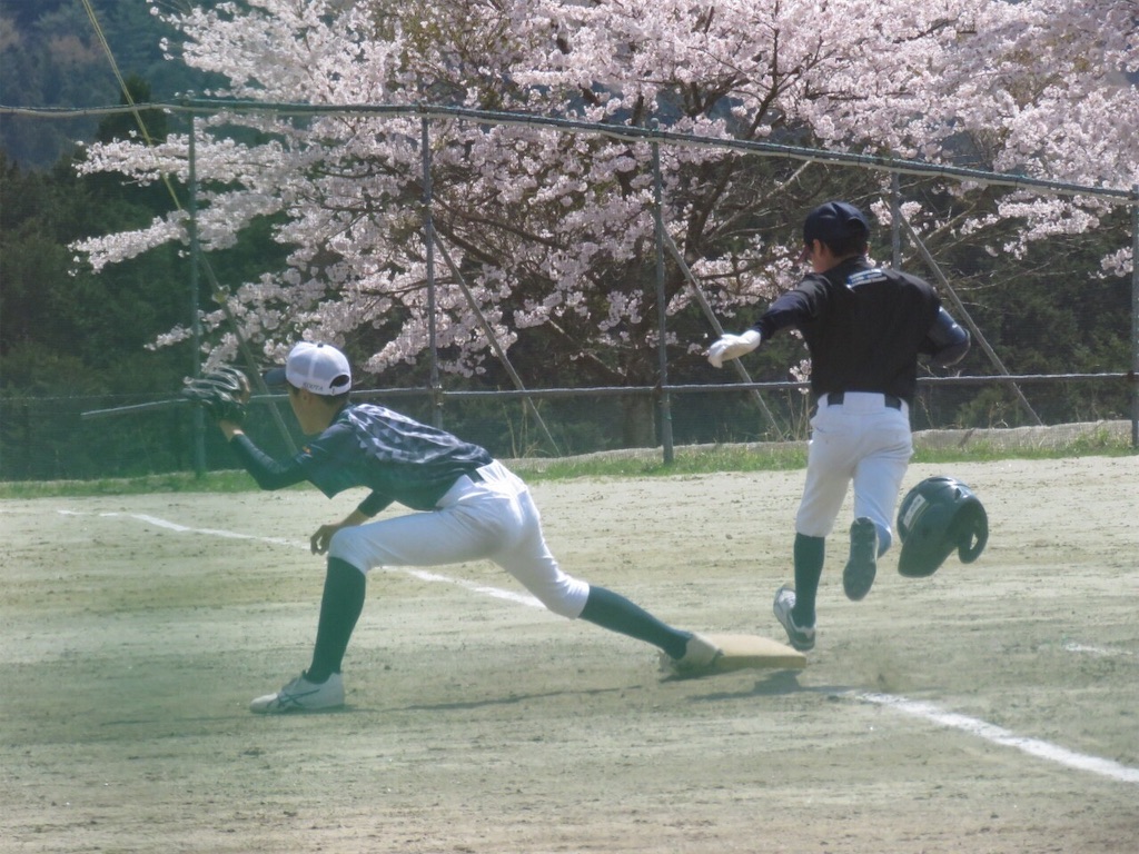 f:id:donagaojisan:20190424204844j:image