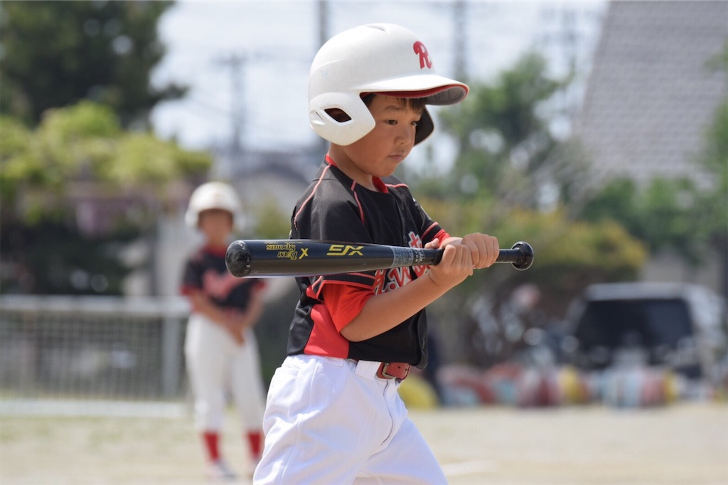 f:id:donagaojisan:20190519183838j:image