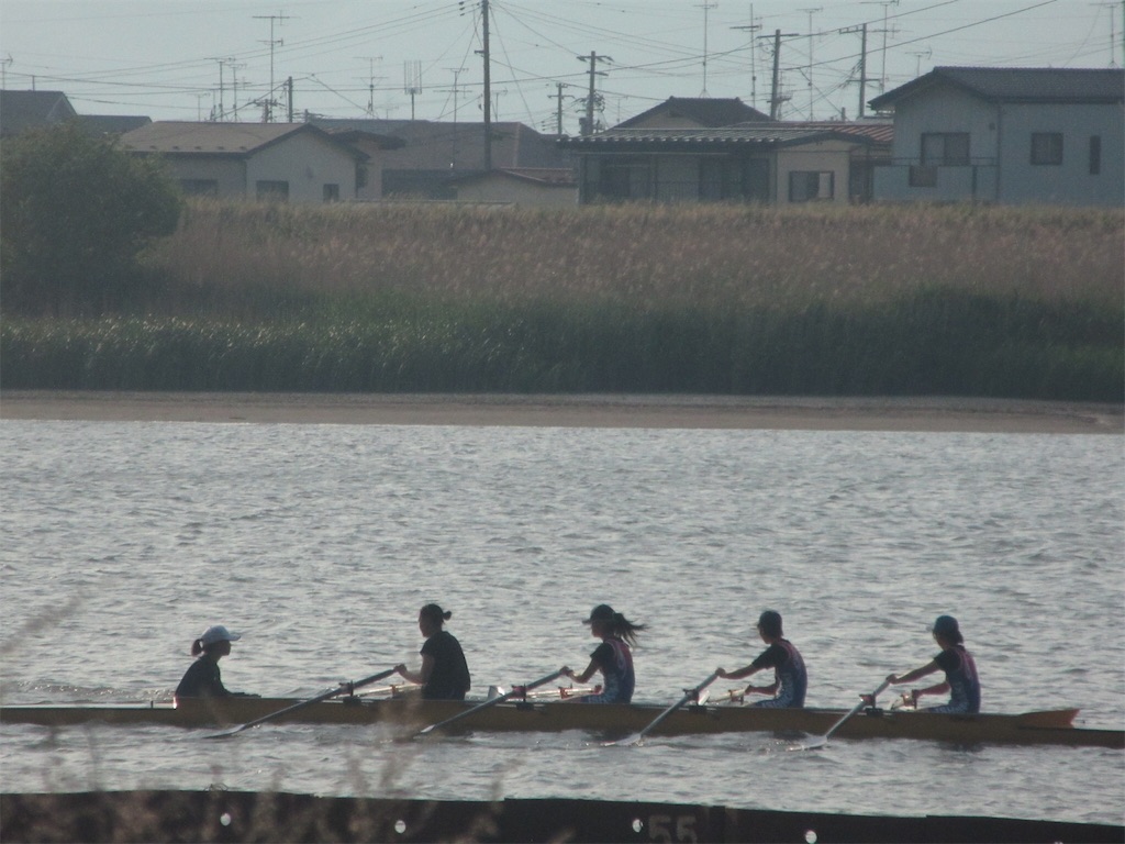 f:id:donagaojisan:20190527201348j:image