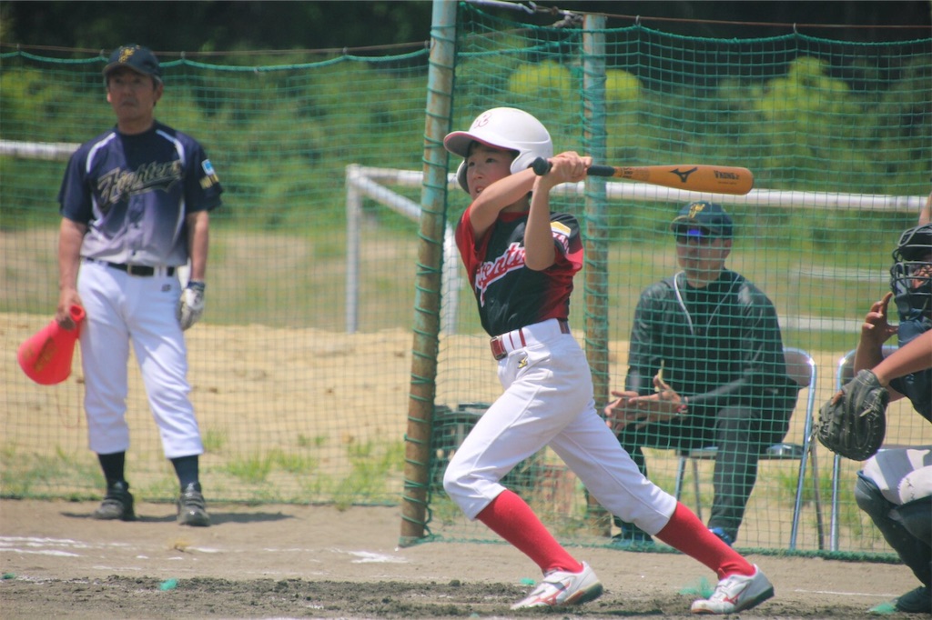 f:id:donagaojisan:20190528155752j:image